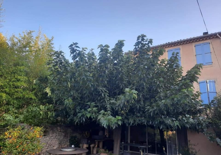 Aménagement extérieur